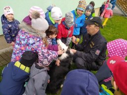 psovodi ve skolce 6
